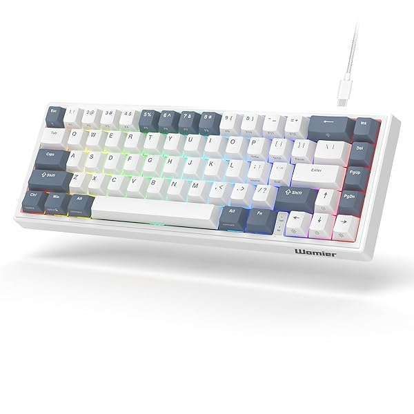 Womier VK66 60% Mechanical Gaming Keyboard: Hot Swappable, POM Switches, LED, PBT Keycaps for Mac/Win - White Gasket Mounted