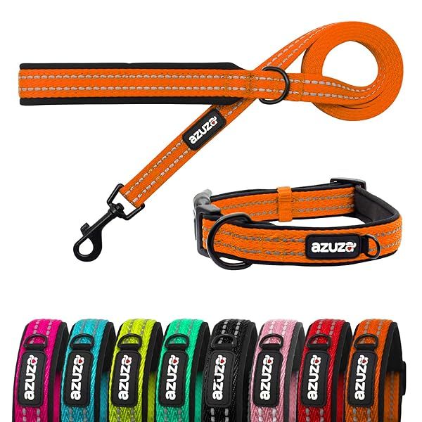 Azuza Durable Padded Dog Leash and Collar Set with Reflective Strip for Medium Dogs in Orange for Extra Safety and Comfort