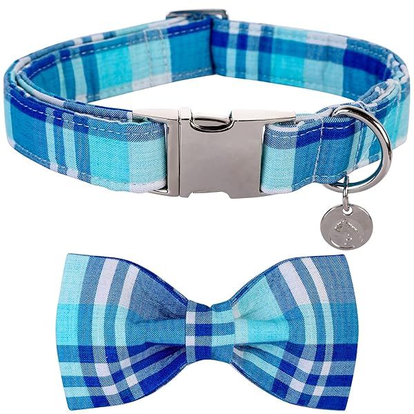 DOGWONG Blue Plaid Dog Collar with Bow Tie Comfortable Cotton Collar for Small Medium Large Dogs