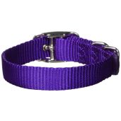 Buy Hamilton 5/8-Inch Purple Nylon Deluxe Dog Collar - Durable & Stylish for Your Pet