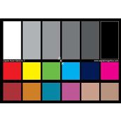 DGK Color Tools 5x7 Color Calibration Charts Set - White Balance & Gray Cards with Stand & Guide