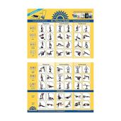 Full Body Vibration Exercise Chart: Ultimate Workout Poster for Vibration Plate Machines