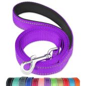 FunTags 6FT Reflective Dog Leash with Padded Handle for Large and Medium Dogs Purple