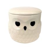 Shop Hedwig Harry Potter Snowy Owl 16oz Glossy Ceramic Mug with Lid - Perfect Gift for Fans!