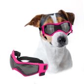 Lesypet Dog Goggles for Small Breeds UV and Wind Protection Outdoor Sunglasses for Dogs