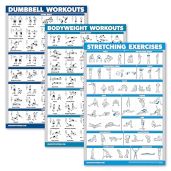 "QuickFit 3 Pack: Laminated Dumbbell, Bodyweight & Stretching Workout Posters - 18"x24" Charts for Effective Home Fitness"