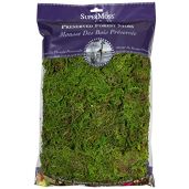 Buy SuperMoss Forest Moss 8oz - Fresh Green Preserved Moss for Crafts & Decor