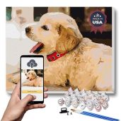 TEXTURE OF DREAMS Personalized Paint by Numbers Kit for Adults Customized DIY Acrylic Painting on Framed Canvas for Beginners 16 x 20