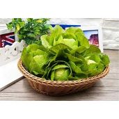 Zzooi Artificial Cabbage Ball - Realistic Fake Blossomy Cabbage Decor (1PCS)