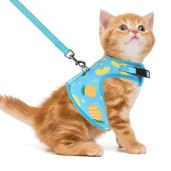 PUPTECK Soft Mesh Cat Vest Harness and Leash Set Escape Proof for Small Dogs Cats and Rabbits Padded Comfort Fit