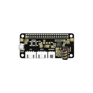 KEYESTUDIO ReSpeaker 2-Mic Pi HAT V1.0 for Raspberry Pi 4/4B, Raspberry Pi 3 3B /2B/Zero 2 W