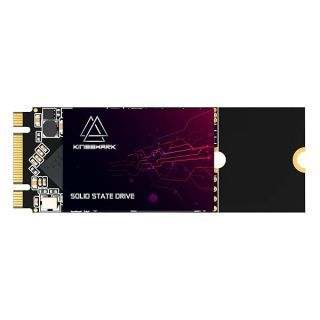 Kingshark gamer SSD M.2 2260 250GB Internal Solid State Drive High-Performance Hard Drive for Desktop Laptop SATA III 6Gb/s (250GB, 2260)