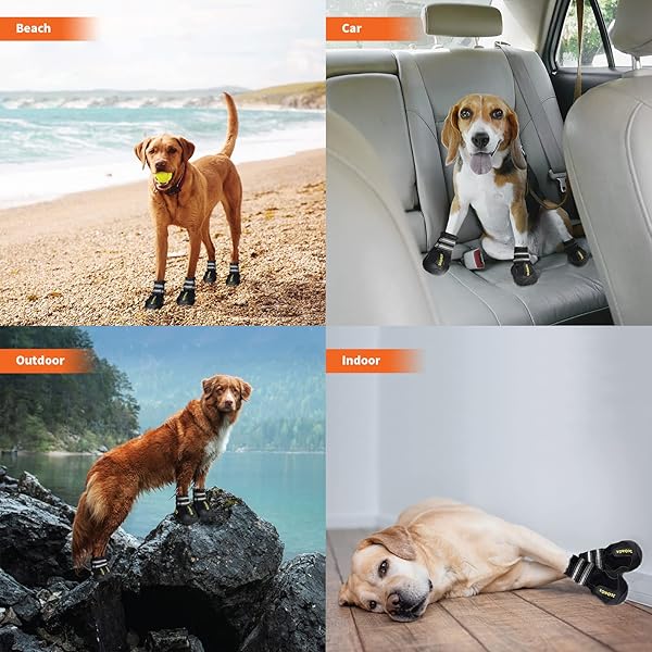 DcOaGt Dog Shoes for Small Medium Puppies Anti-Slip Waterproof Boots for All Weather Hiking Walking Hunting Black Size 5 4PCS - Image 9