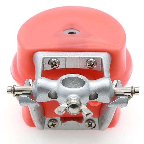 Dental Typodont Model for Teaching with Kilgore Nissin 32 Removable Teeth and Simulation Cheek Ideal for Study and Practice - Image 5