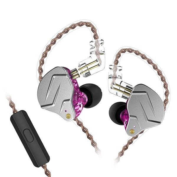 Erjigo KZ ZSN Pro Dual Driver In-Ear Earphones with Detachable Cable & Microphone - Perfect for Musicians (Purple)