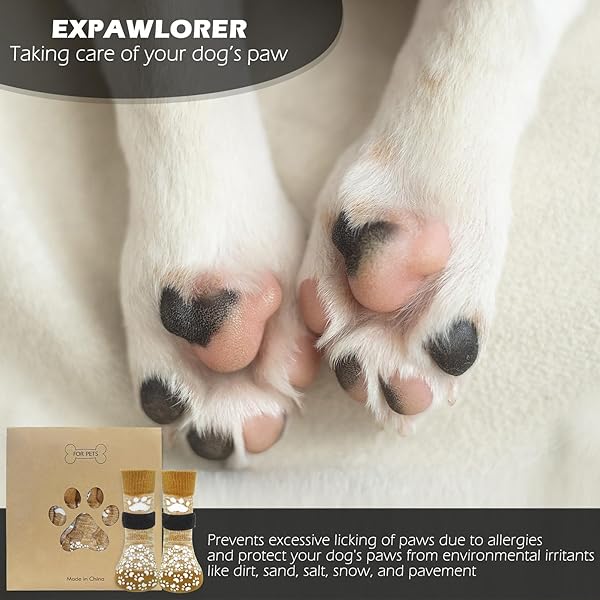 EXPAWLORER Anti Slip Dog Socks for Paw Protection and Traction Control on Hot Pavement for Small Medium Large Senior Dogs - Image 5