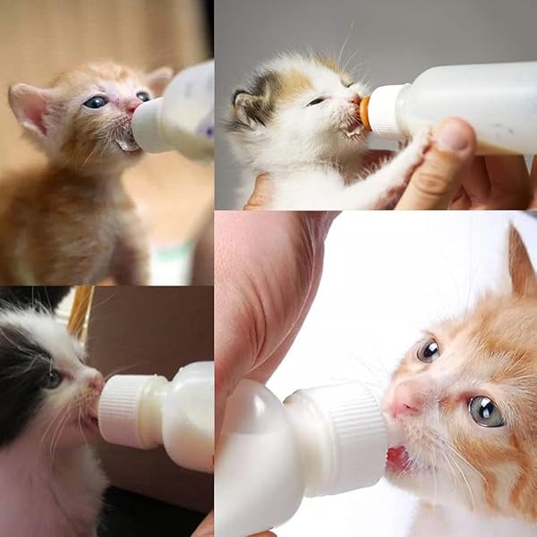 Pet Nursing Bottle Kit for Dogs and Cats Soft Tip Feeding Tool and Liquid Watering Syringe - Image 8