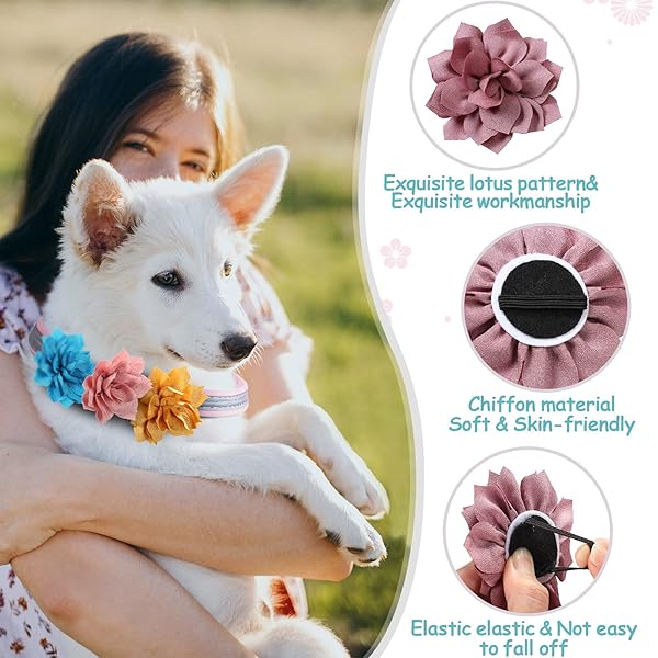 Saintrygo 20 Pieces Dog Collar Flowers Multi Color Pet Bow Ties and Flower Collars for Dogs and Cats Grooming Accessories - Image 5