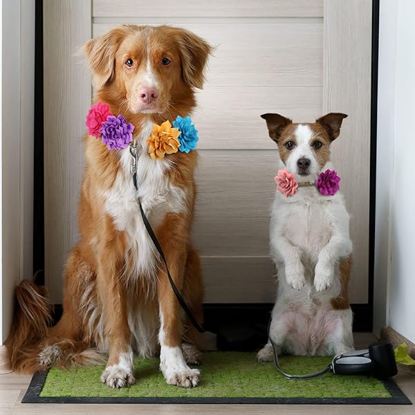 Saintrygo 20 Pieces Dog Collar Flowers Multi Color Pet Bow Ties and Flower Collars for Dogs and Cats Grooming Accessories - Image 7