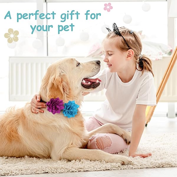 Saintrygo 20 Pieces Dog Collar Flowers Multi Color Pet Bow Ties and Flower Collars for Dogs and Cats Grooming Accessories - Image 9