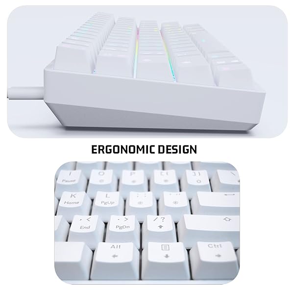 targeal 60% Mechanical Gaming Keyboard - 61 Keys Brown Switch Quiet Office Computer Keyboard - Multi Color RGB Rainbow Led Backlit - Programmable for - Image 7