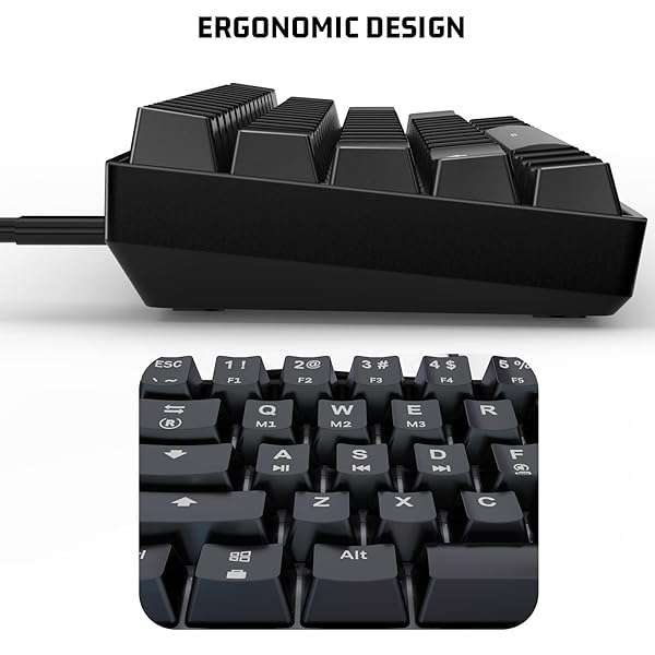 targeal 60% Mechanical Gaming Keyboard - 61 Keys Yellow Switch Quiet Office Computer Keyboard - Multi Color RGB Rainbow Led Backlit - Programmable - Image 7