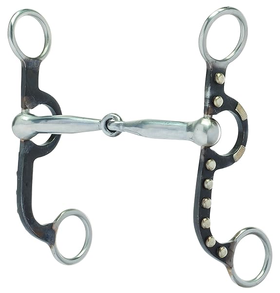 Weaver Leather Professional Argentine Bit 5 for Superior Control and Performance in Equestrian Activities